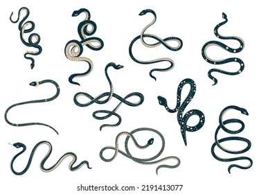 Magic set with writhing space snakes