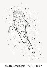 Magic shark in the stars, minimal design, vector art