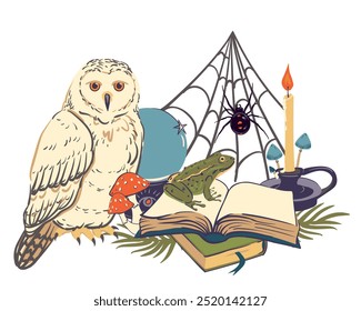 Zauberladen. Hexerei Attribute, Frosch, Grimoire, Zauberball, weiße Polkauz, Spinne, Kerze, Fliege Agar. Vektorgrafik im flachen Stil. Okkultismus und Esoterik Konzept. Halloween 2024