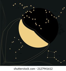 The magic of the starry night sky