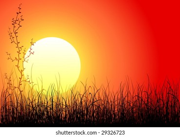 Magic sunset with dark grass and single tree (vector)