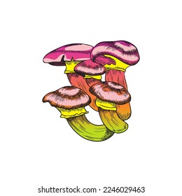 Magic toxic luminous mushrooms from fairy tale or fantasy, hand drawn cartoon vector illustration isolated on white background. Acid poisonous amanita mushrooms.