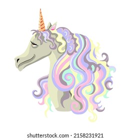 Magic unicorn. Children's tale. Magic art. Flat. Vector illustration