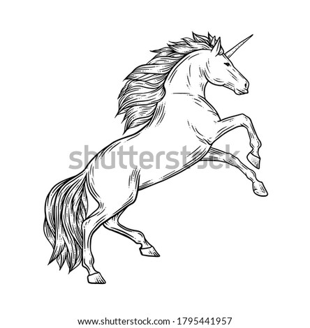 Magic unicorn vector illustration in vintage engraving style. Stylish symbol, artwork, tattoo. Horse vector illustration in hand drawn retro style.