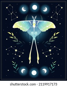 Magic vector illustration of moon moth in green colors. For print for T-shirts and bags, decor element. Mystical and magical, astrology illustration