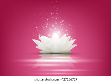 Magic White Lotus flower on pink background.Vector