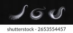 Magic wind snow swirls with sparkling particles - white frosty air streams, glowing winter magic effects and icy spiral gusts for fantasy spell casting, blizzard animation or mystical weather graphic.