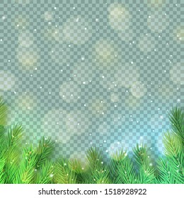 Magic wintry background with christmas tree branches and glitter lights. Merry Christmas beautiful design with copy space. Realistic fir tree branches on transparent background vector illustration.