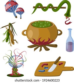 Magic witch set. Poison mushrooms, snake, lizards, cauldron, bottle, knife, sphere. Isolated vector objects on white background.