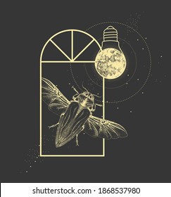 Magic witchcraft window silhouette with Belionota tricolor beetle and full moon like light bulb. Vector illustration