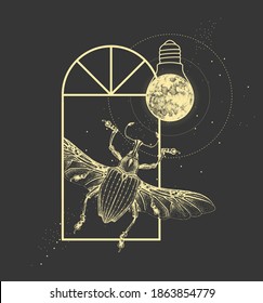 Magic witchcraft window silhouette with Curculionidae beetle and full moon like light bulb. Vector illustration