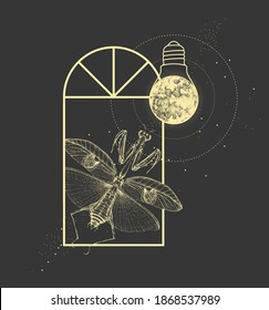 Magic witchcraft window silhouette with praying mantis  and full moon like light bulb. Vector illustration