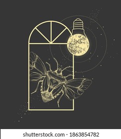 Magic witchcraft window silhouette with shield bug and full moon like light bulb. Vector illustration