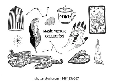 Magic. Witch's hand, burning candle, cup, moon phases, constellations, tarot card, birdcage. Vector graphic illustrations on white isolated background