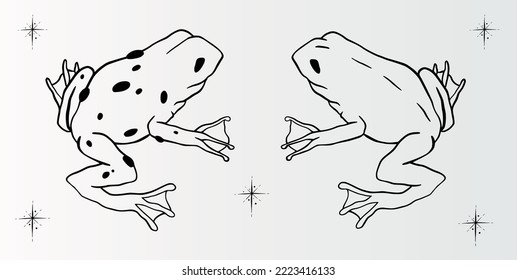 Magic Witchy frog with stars. Celestial toad. Vector illustration