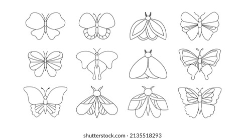 Magical Butterfly with Moon and stars