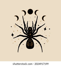 Magical and Celestial Spider vector illustration. Hand drawn mystical spider, moon and sacred geometric symbol against the starry sky. Halloween symbol. Abstract mystic sign