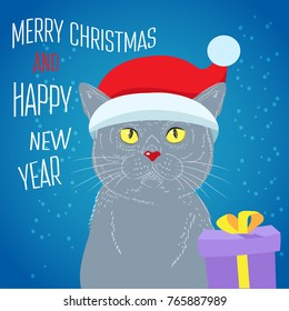 The Magical Christmas Cat. British Shorthair Cat Hand Draw Vector Sketch Illustrations. Animal Illustration, Hand Drawn Cat Breed.Holyday card vector.