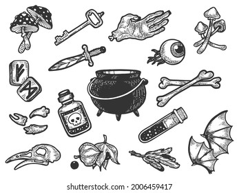 Magical fabulous witch witchcraft ingredients line art sketch engraving vector illustration. T-shirt apparel print design. Scratch board imitation. Black and white hand drawn image.