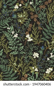 Magical forest. Botanical seamless pattern. Vintage. Vector illustration. Green plants on a black background.