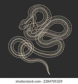 magical forest elements. images of a snake, night moth, fly agaric mushrooms, plant and space elements. Ideal for printing on fabric or clothing, wallpaper and wrapping paper