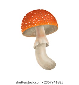 magical forest elements. images of a snake, night moth, fly agaric mushrooms, plant and space elements. Ideal for printing on fabric or clothing, wallpaper and wrapping paper