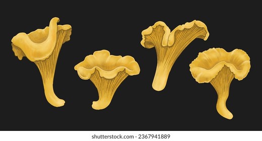 magical forest elements. images of a snake, night moth, fly agaric mushrooms, plant and space elements. Ideal for printing on fabric or clothing, wallpaper and wrapping paper
