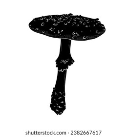 magical forest elements. images of a snake, night moth, fly agaric mushrooms, plant and space elements. Ideal for printing on fabric or clothing, wallpaper and wrapping paper