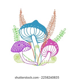 Magical forest mushrooms art print. Three mushrooms with ferns and forest grass isolated on white background. Hand drawn vector illustration.