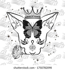 Magical illustration with princess cat. Mystical illustration.