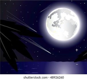 magical night at the beach