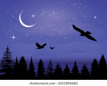A magical night in the forest, the peace and freedom of nature, flight and silence under the starry sky.