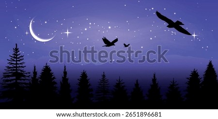 A magical night in the forest, the peace and freedom of nature, flight and silence under the starry sky.