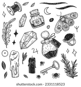 Magical objects - crystals, leaves, moth, candles, poisons. Graphic vector set of occult elements. Witchcraft items