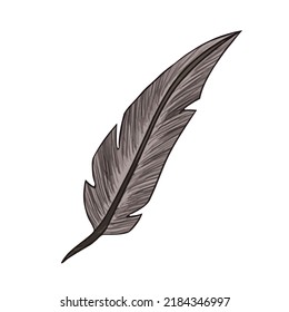 Magical old fashioned feather, bird feather, vector illustration  for halloween, decoration for fairy tale books, notebooks, scrapbook design, game icons.