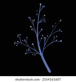 Magical plants. Vector flat illustration. Isolated on black background. Great for various designs: psychedelic, meditation, fairy tales and posters.