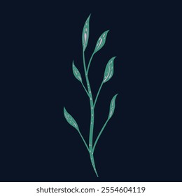 Magical plants. Vector flat illustration. Isolated on black background. Great for various designs: psychedelic, meditation, fairy tales and posters.