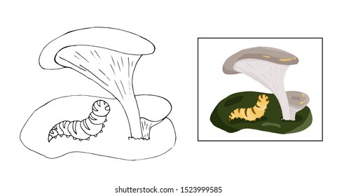 Magical poisonous mushroom vector outline illustration. Toadstools and inedible fantasy fungus design. Children fairytale coloring pages. Game and education
