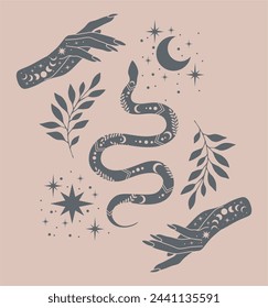 Magical poster with woman hands, snake, stars. Boho illustration. Vector hand drawing