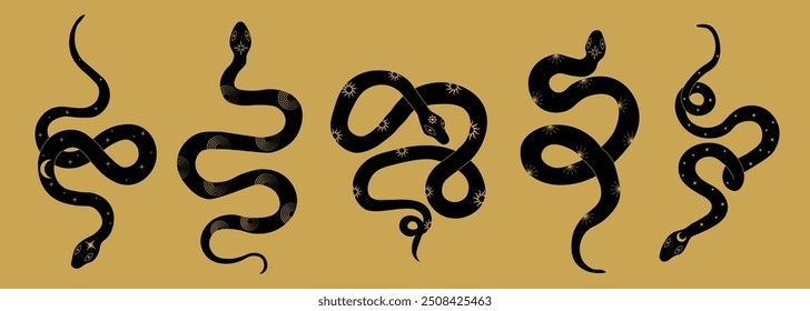 Magical snakes vector design set in luxury gold color decorated with esoteric objects moon, sun, stars . Mystical collection of Chinese new year symbol 2025