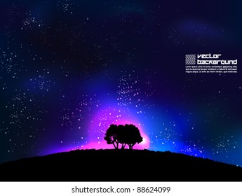 magical starry night vector background