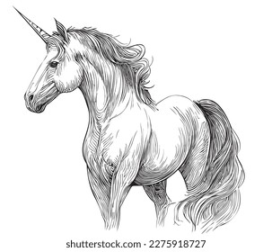 Magical unicorn hand drawn sketch in doodle style illustration Fairy tales