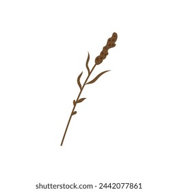 Magical vector illustration of a sprig of grass, perfect for witchcraft, alchemy or Halloween themes. Flat icon suitable for esoteric and occult imagery.