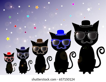 Magician cat