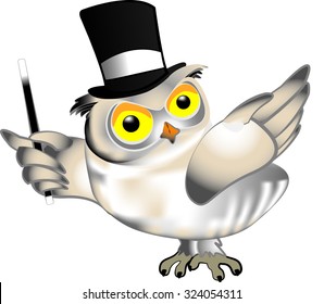 magician owl