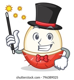 Magician rambutan mascot cartoon style
