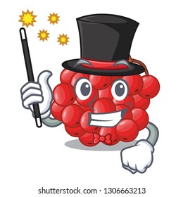 Magician rowan berries isolated with the mascot