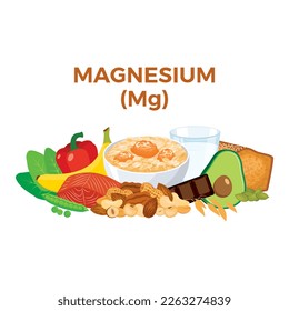 Magnesium (Mg) in food icon vector. Magnesium food sources vector illustration isolated on a white background. Nuts, oat, seeds, chocolate, avocado vector. Pile of healthy fresh food drawing