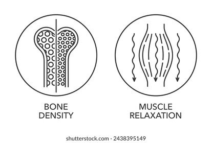 Magnesium supplement icons set Bone Density and Muscle Relaxation. Pictograms in thin line for labeling