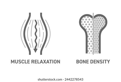 Magnesium supplement icons set Bone Density and Muscle Relaxation. Flat pictograms for labeling